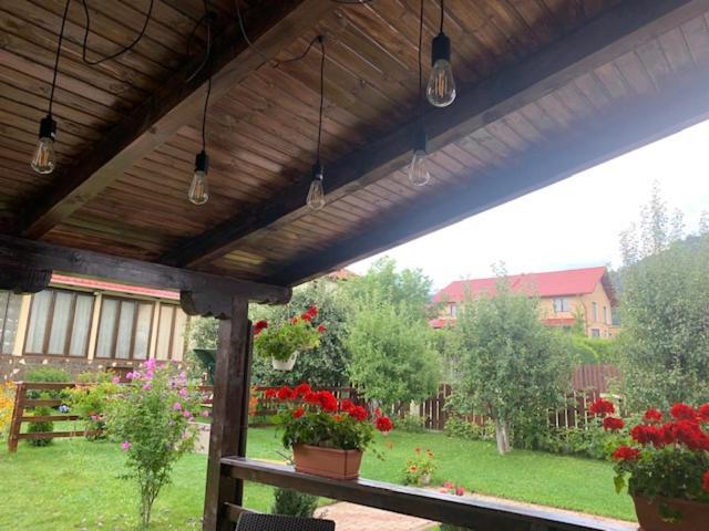 Vila Rolizo Braşov Buitenkant foto